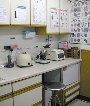 Bedir Labs