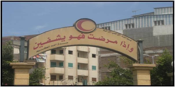 Damietta Fever