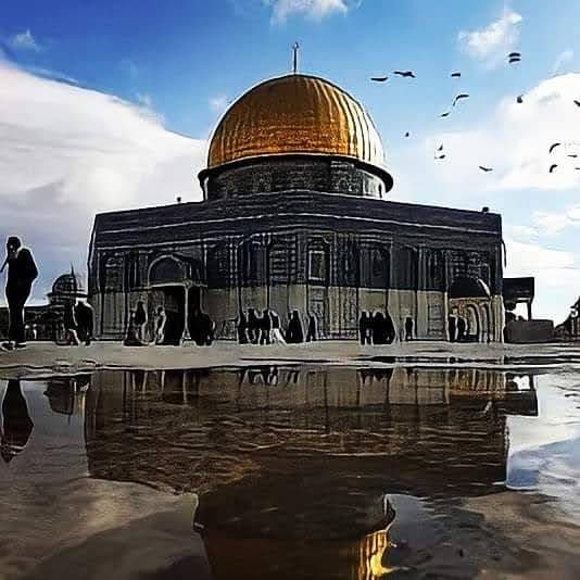 صيدلية القصبي