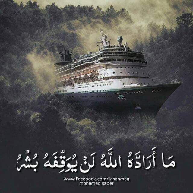 اسماك السواح