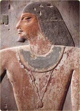 DR. MOHAMED SAMIR` academy