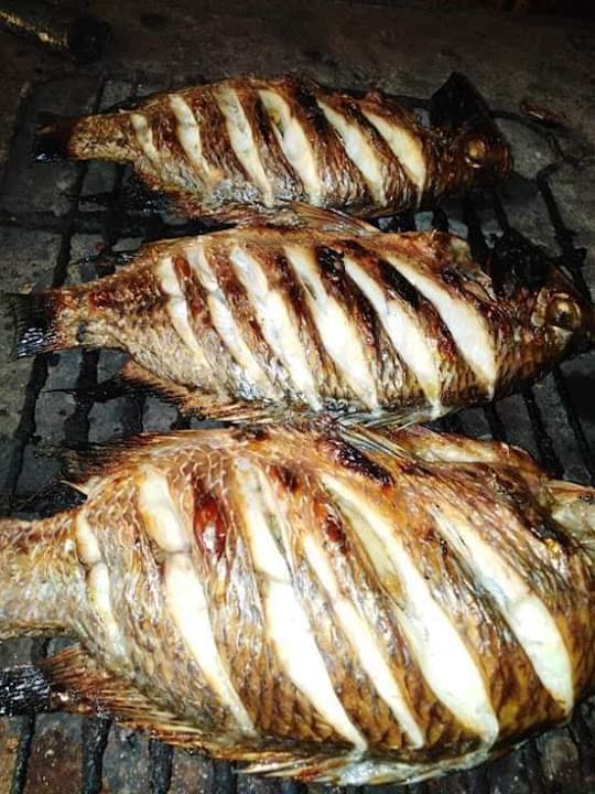 مطعم اسماك النصر