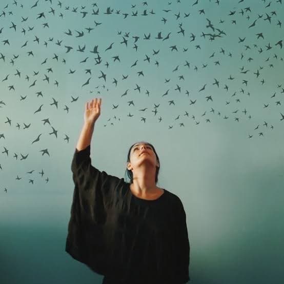 Mمطعم الشيف