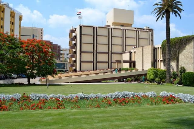 مستشفى المسالك البولية في المنصورة