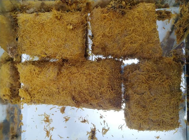 Marvel Patisserie - حلواني مارفل