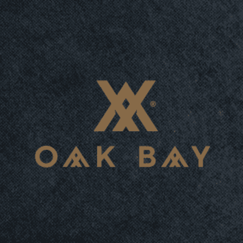 business-logo