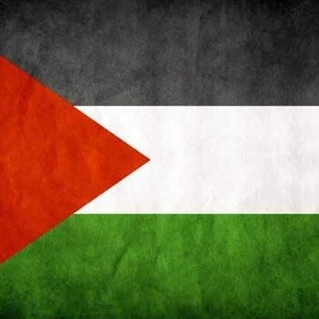 سوبر ماركت السيد شوقي