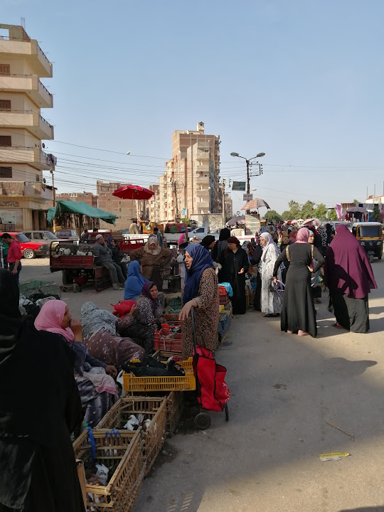 Tanta bird market. Wise u