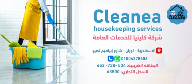 Cleanea House Cleaning Services