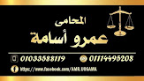 استاذ عمرو اسامة المحامى
