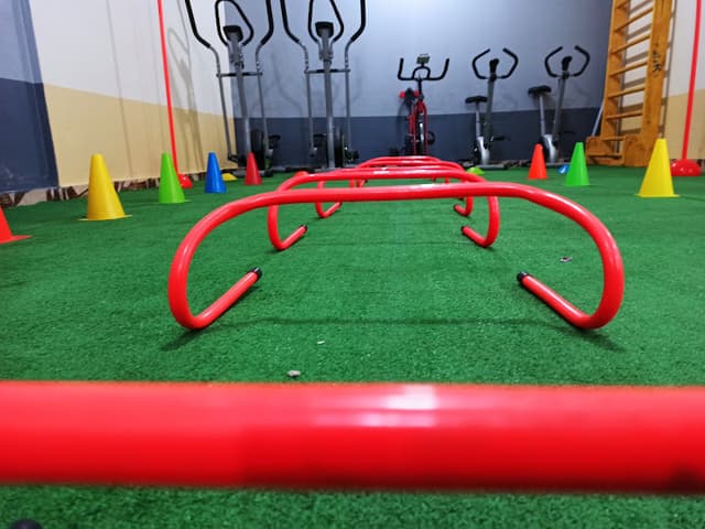 ALPHA GYM - ألفا جيم