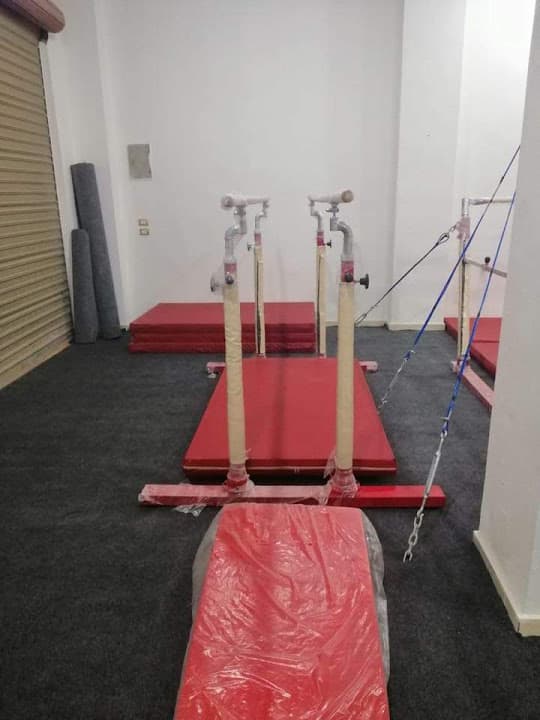 Golden gymnast academy