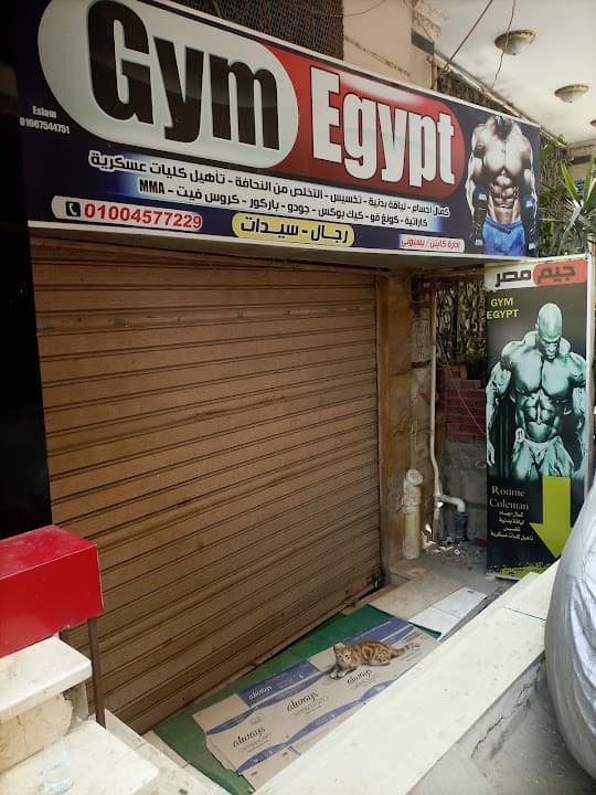 Gym Egypt - جيم مصر