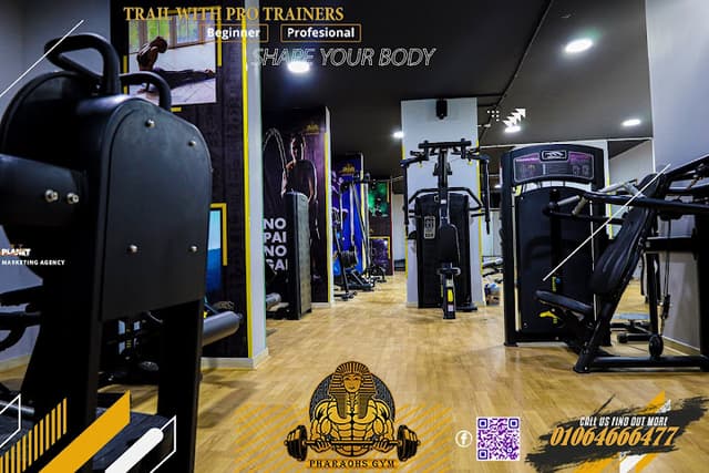 Pharaohs Gym