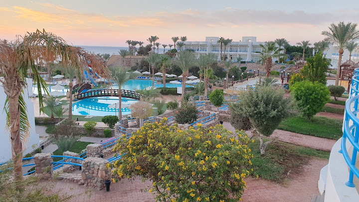 Queen Sharm Hotel Reception - كوين شرم