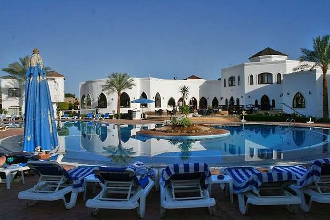 Sinai Vibes Tours - سيناي فايبس تورز