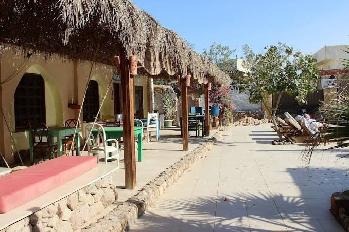 Sinai Old Spices - سيناي اولد سبايس