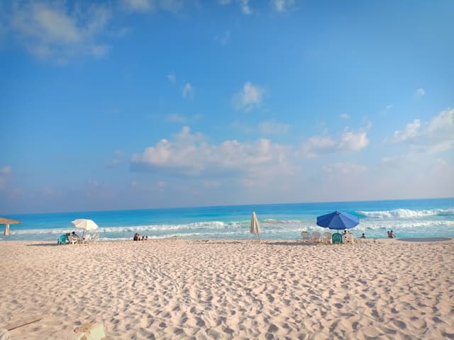 مطعم الضرائب