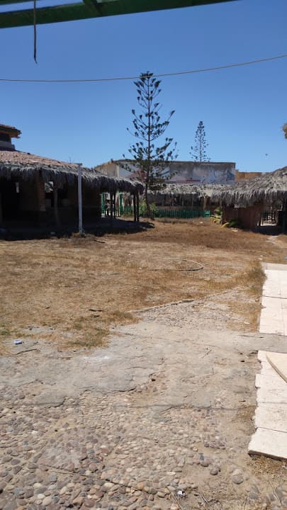 Dr. Wael Ibrahim Pharmacy - صيدلية دكتور وائل ابراهيم