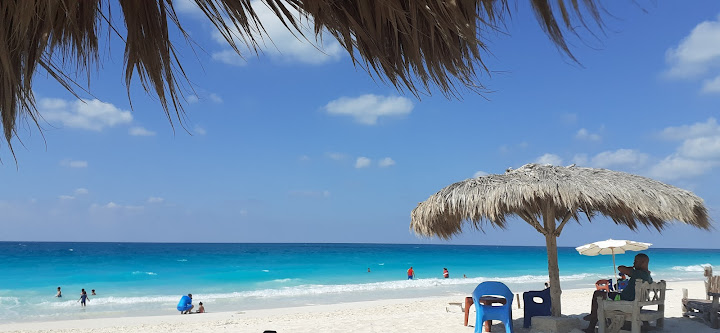 Green Village - جرين فيليج
