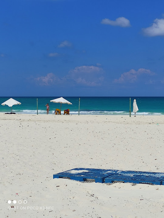 Al Karawan Resort - الكروان