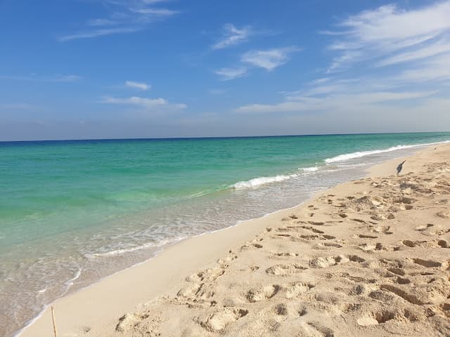 Tiba Rose North coast