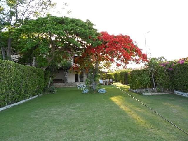 Marina Village North Coast - قرية مارينا