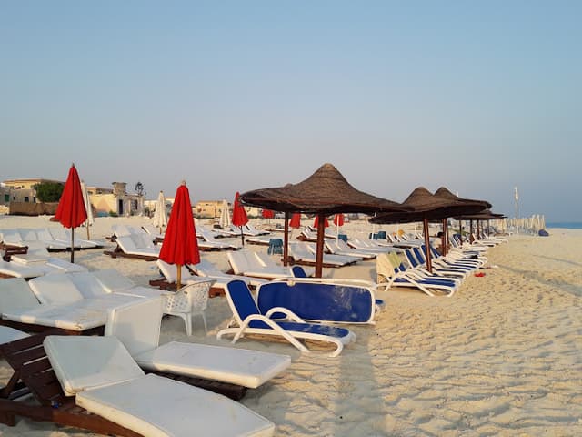 قرية جامعة أسيوط