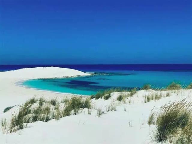 شاطئ القواسم