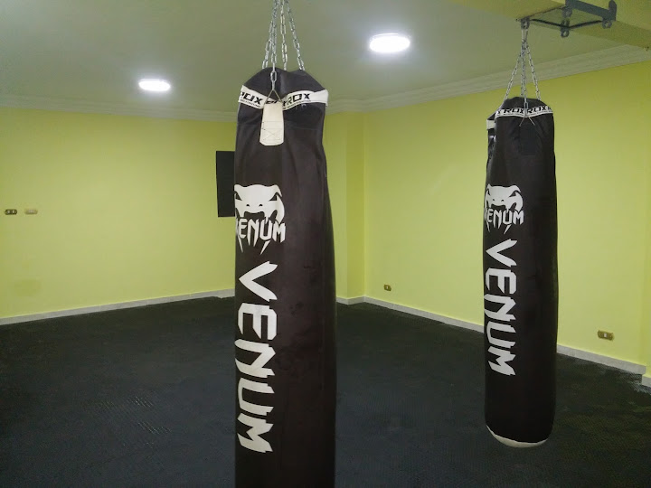 Alpha Martial Arts Club - الفا مارشل أرتس