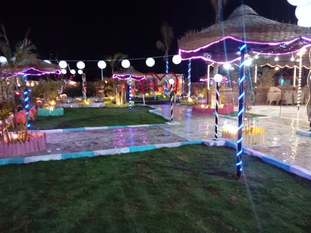 ملعب الاكاديميه وكافتريا الواحه