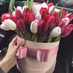 معمل الشروق لتحاليل الطبيه