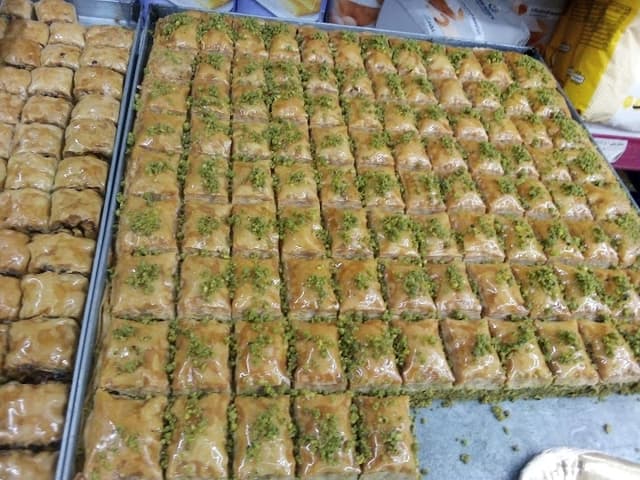 Syrian House