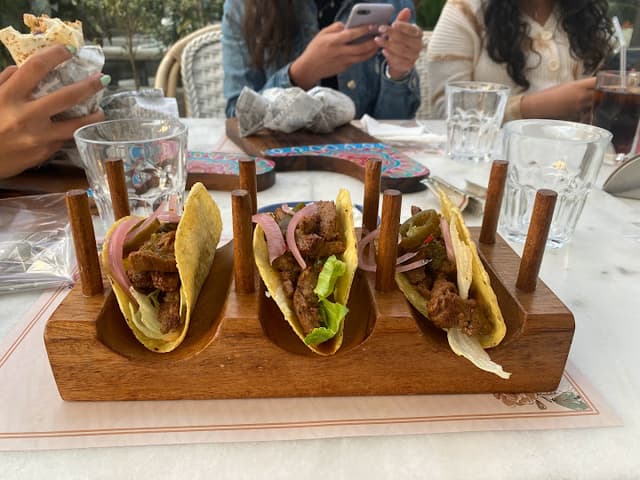 Bonita - بونيتا