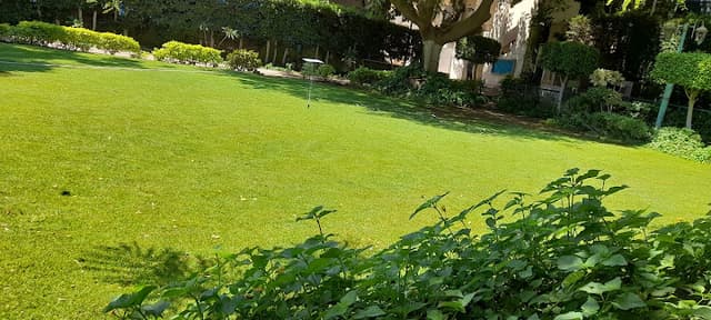 Cairo sporting club