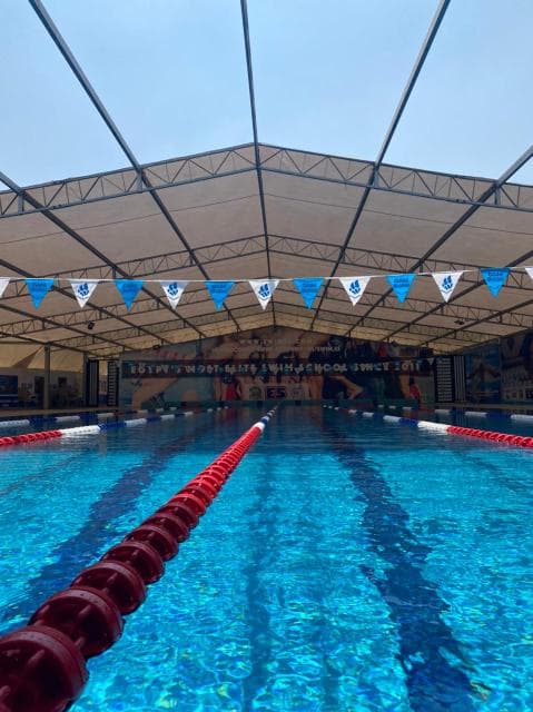 Swim Es New Cairo