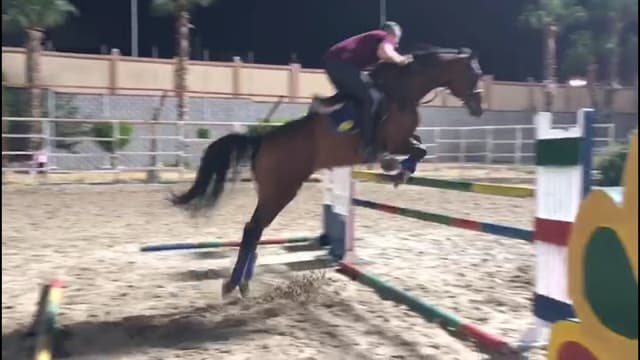 Cairo Stadium (Equestrian Sports)