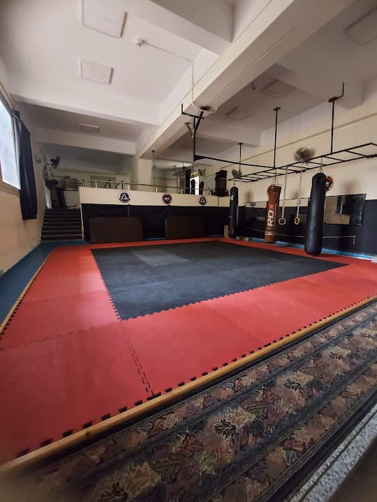 Ronin Martial Arts