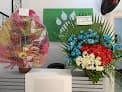 مستشفي أليفك البيطرية - Aleefk Animal Hospital