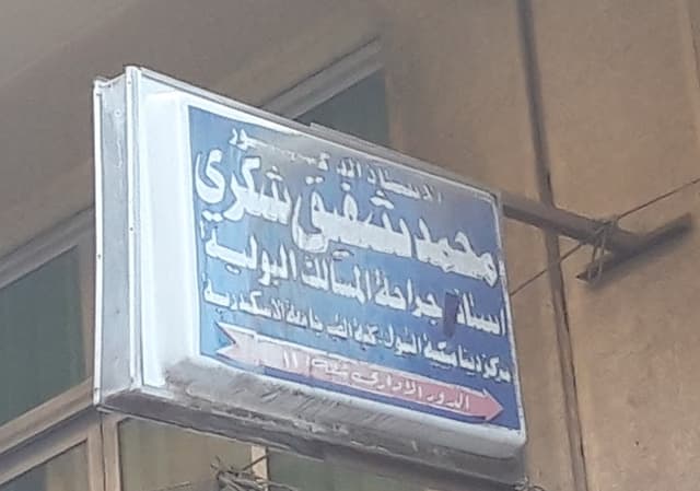 الاستاذ الدكتور محمد شفيق شكري