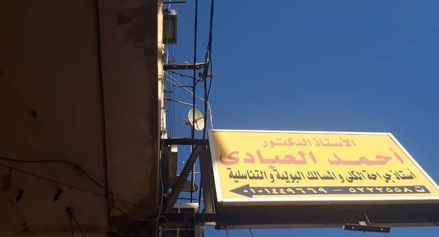 الأستاذ الدكتور أحمد العبادى