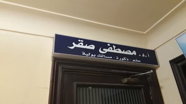 أ.د. مصطفى صقر