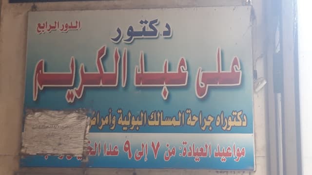 الأستاد الدكتور على عبد الكريم