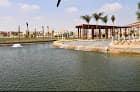 Zayed Central Park