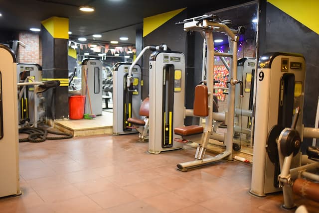 Hammer Gym