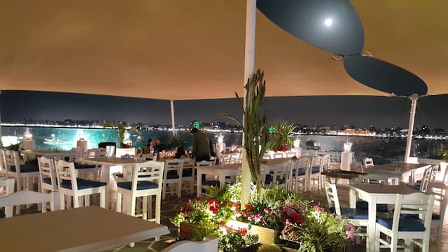 Olive Island