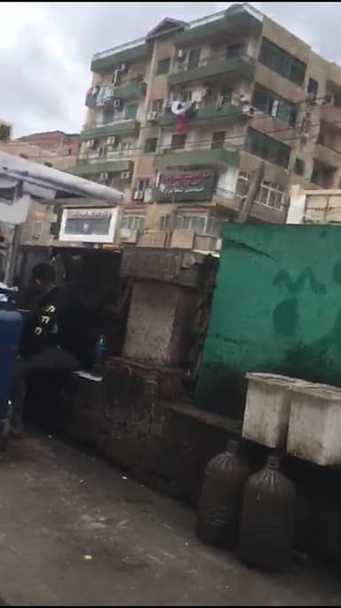 الابراهيميه عربيه الكبده