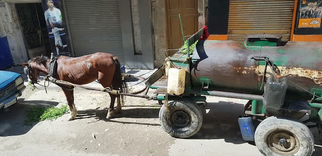 توتو