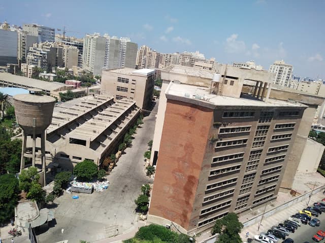 Alexandria Governorate's Electronic Portal
