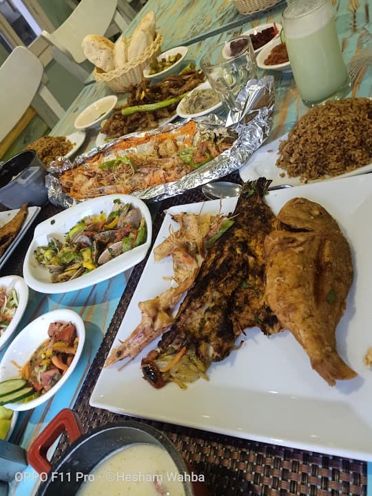 أسماك بحرى